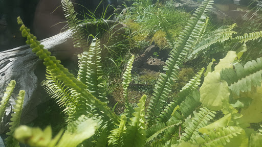 Hamilton Zoo