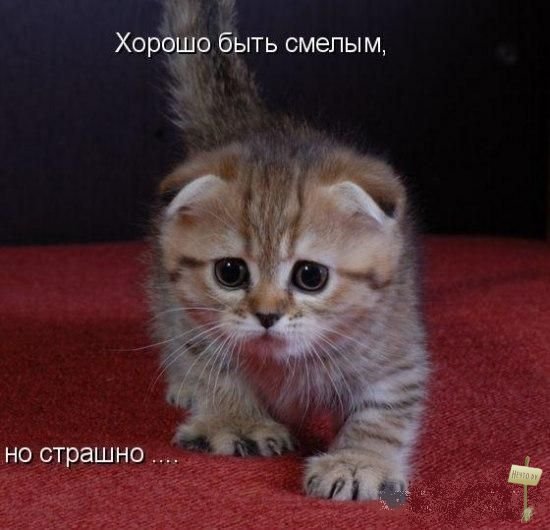 45 уроков из жизни… (Прими участие) 45 уроков из жизни… (Прими участие)