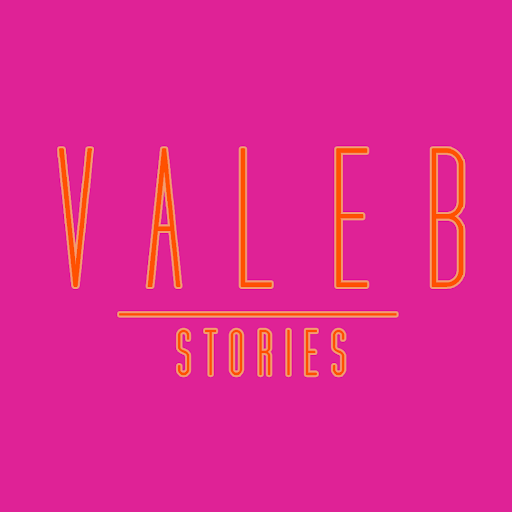 VALEB stories logo