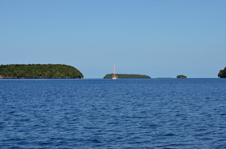 Tonga, el último reino del Pacífico - Blogs de Tonga - Vava’u: playa, tranquilidad y ballenas (33)