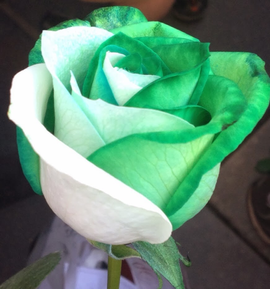 life in my empty nest: Green Roses at The Rose Bowl