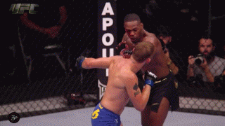 Александр Густафссон - следующий чемпион UFC
