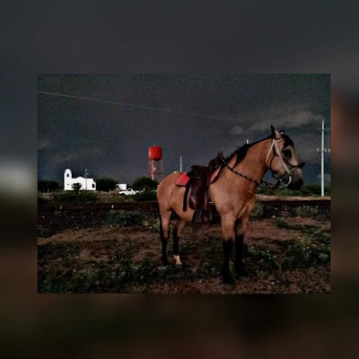 Photos of Rancho la Milpa