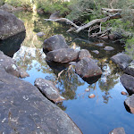 Glenbrook Creek below Martin's Lookout (74337)