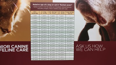 veterinary-care