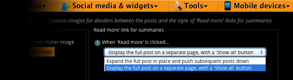 Blog summary options