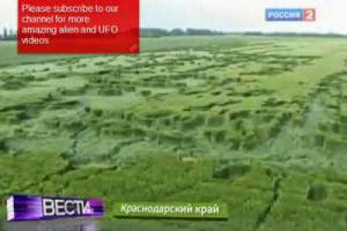 Crop Circle Disaster Warning In Russian Ufo Hotspot Krasnodar