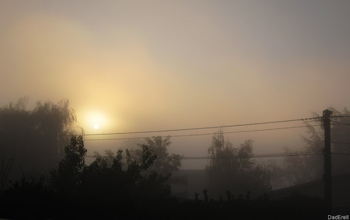 Soleil de matin d'automne dans la brume.