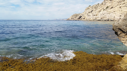 Playa Racó del conill