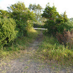 Track to foot bridge at Belmont Lagoon (390119)