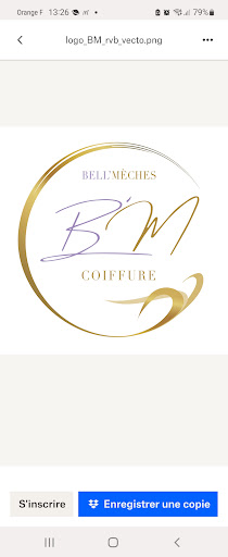 Bell'mèches Coiffure logo