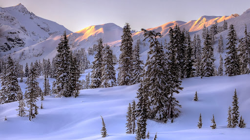 Winter Morning in the North Cascades, North Cascades National Park, Washington.jpg