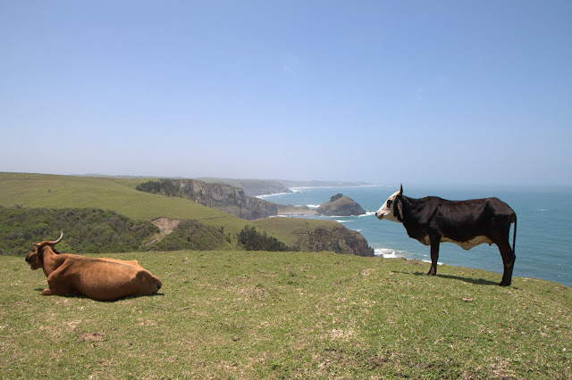 The Transkei