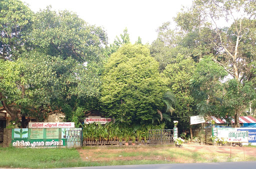 Little Flower Nursery, NH 47, North Aryad, Kalavoor, Kerala 688522, India, Garden, state KL