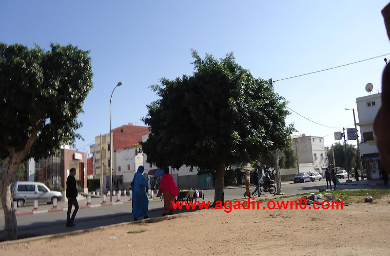 زنقة الزلاقة حي احشاش بمدينة اكادير DSC01671
