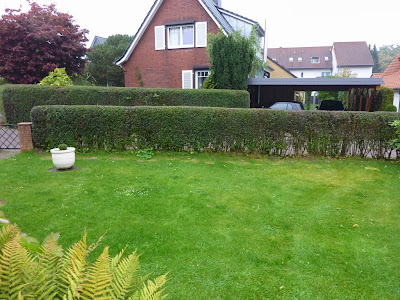 P1270656.JPG