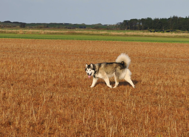 DSC_0114.JPG
