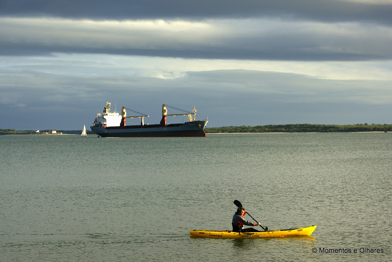 Remar