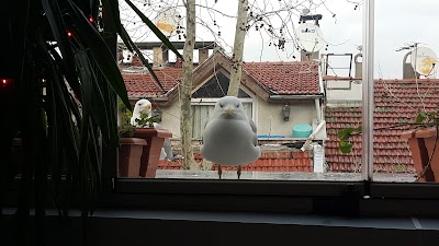 Photos of B&uuml;y&uuml;kada Marine House Hotel