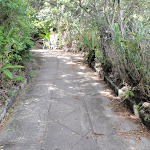 Old road south of Hermit Point (254297)