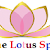 lotus spa 