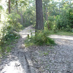 An unsealed trail meets Walkers Ridge Road (365255)