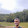 Manoj Menon Manoj Menon's profile photo
