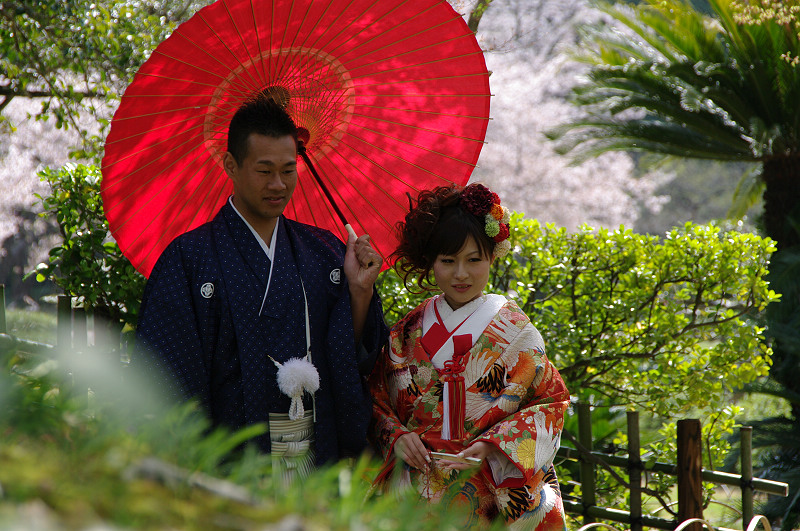 日本行