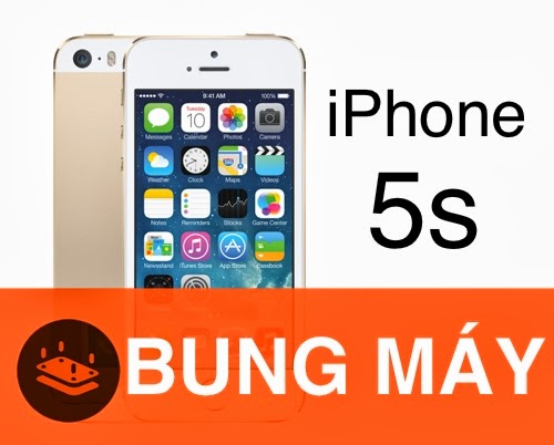 IP5S.