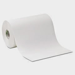 Hardwound Roll Paper Towel, Nonperforated, 9