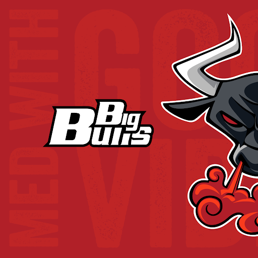 Big Bulls logo