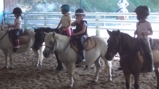 PONEY CLUB DE BRIMBORION