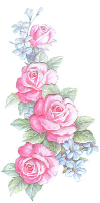 desenho de rosas