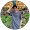 Achmad Maulana