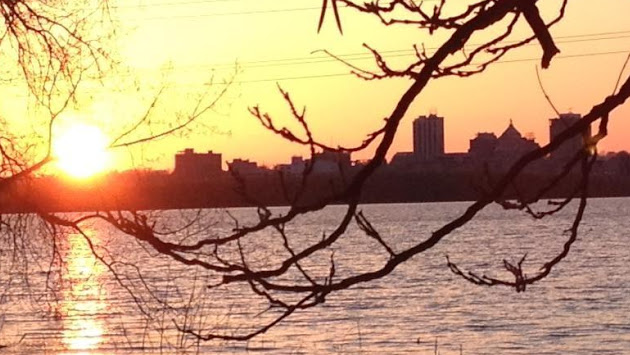 Cover photo