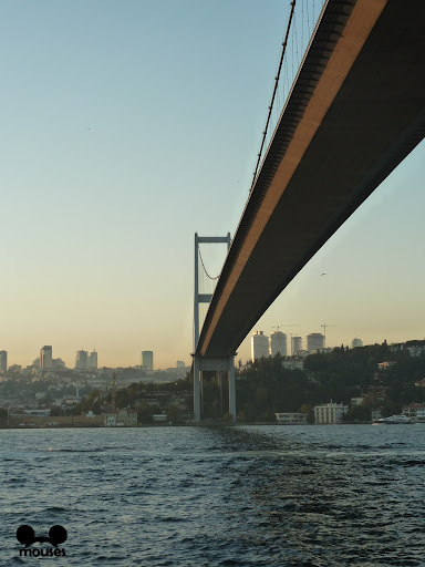 Simplemente Estambul - Blogs de Turquia - Santa Sofia, Gran Bazar, Crucero Bósforo, etc 25/09/12 (17)