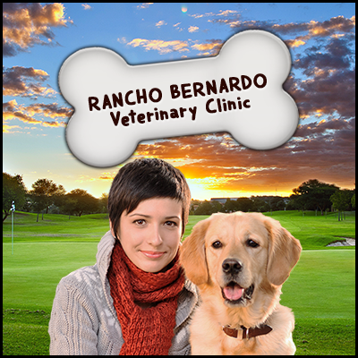 Rancho Bernardo Veterinary Clinic logo