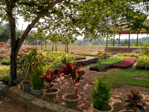 S R P Nursery And Gardens, 7, Neeladri Rd, Electronic City, Bengaluru, Karnataka 560100, India, Garden, state KA