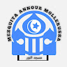 Foto del escritor: annour mollerussa