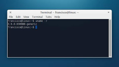 Cómo instalar el kernel 3.9 en Ubuntu 13.04