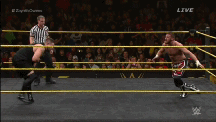 1. Seth Rollins vs. Sami Zayn - NO DQ MATCH. Asdsad