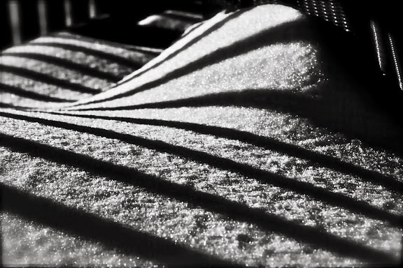 "Snow Shadows" Photography by Sherry Salant. $90.00