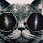 CJ Wolven avatar image