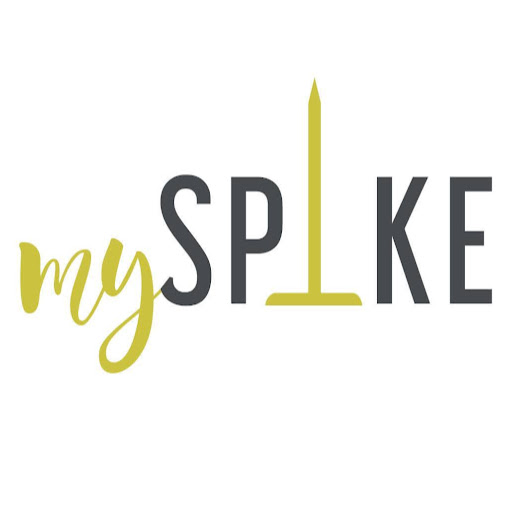 mySpike logo