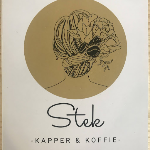 Stek Haarlem logo