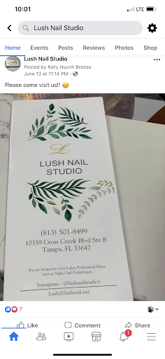 Lush Nail Studio logo