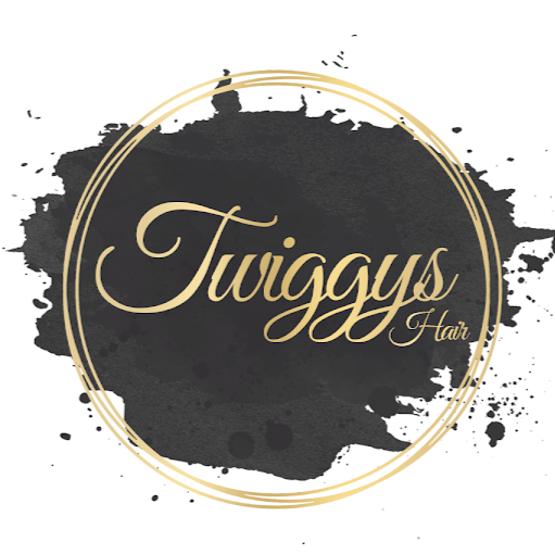 Twiggy's Hair Salon logo