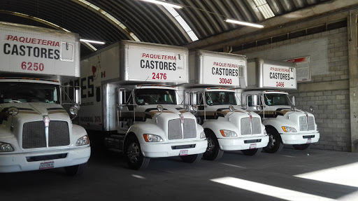 TRANSPORTES CASTORES, 62553, Insurgentes 104, Moctezuma, Jiutepec, Mor., México, Empresa de transporte por camión | MOR