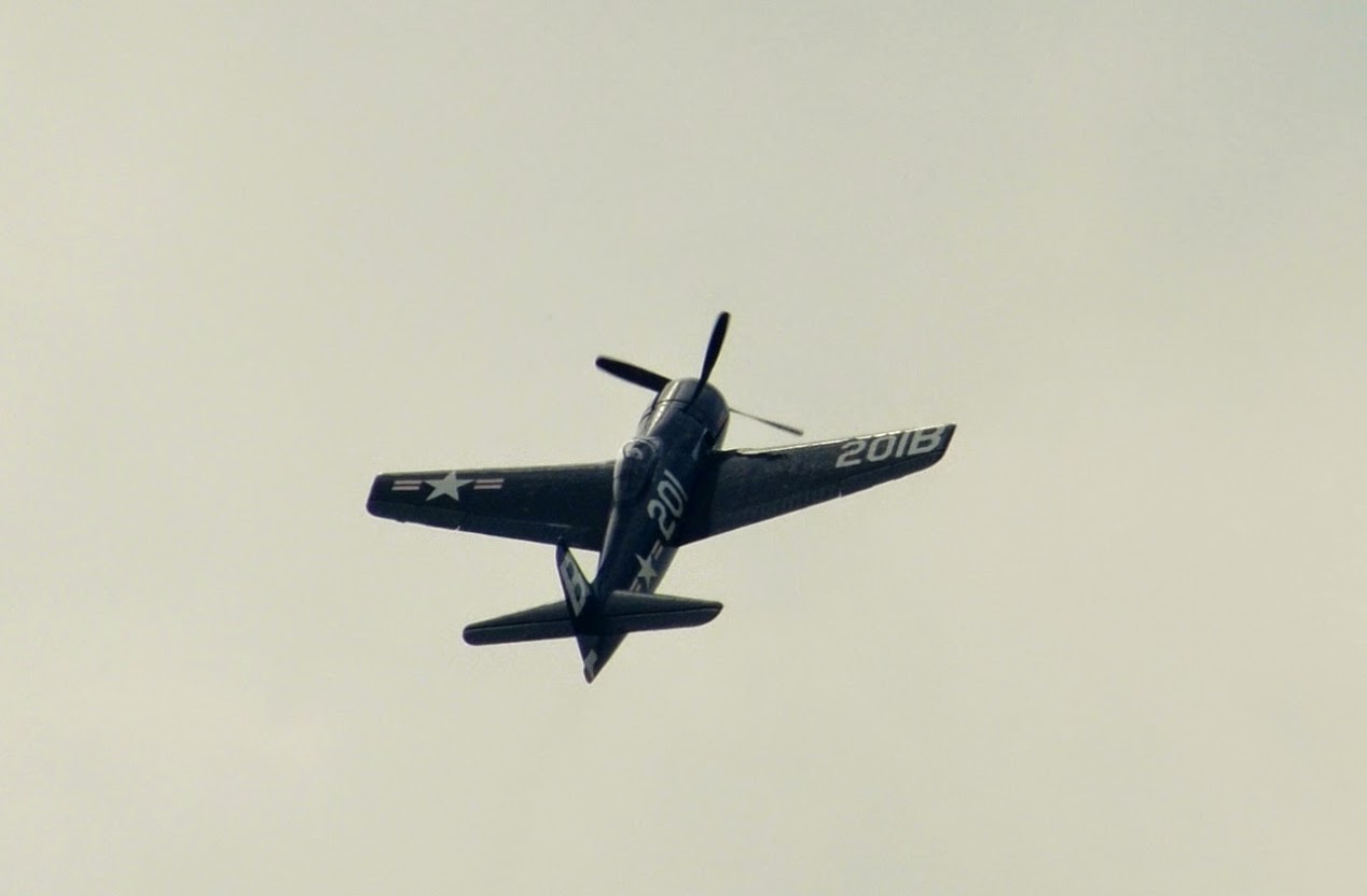 DSC_0236.JPG