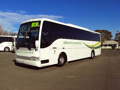 Photos of Organ's Coaches Kyneton